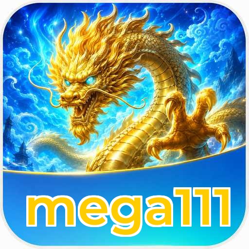 Privacy & Security mega111