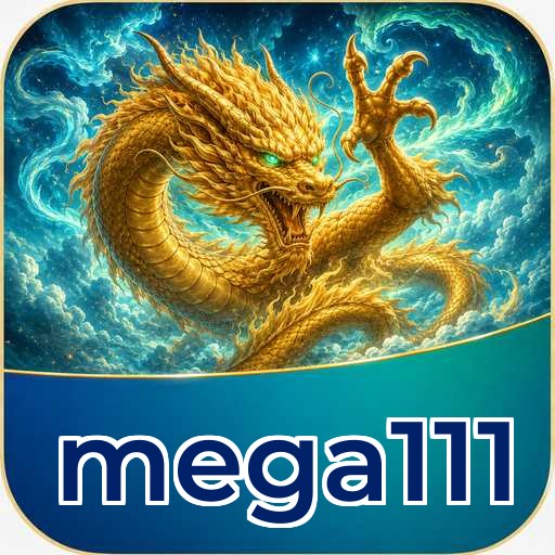 Overview mega111